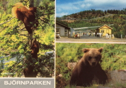 Björnparken Björnparken