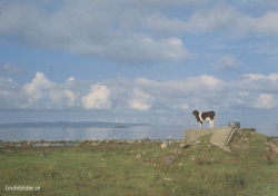 Ranarps Strand, Bjäre Ranarps Strand, Bjäre