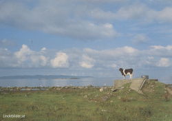 Ranarps Strand, Bjäre