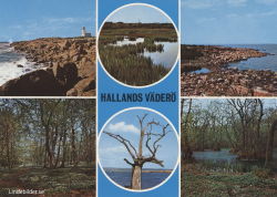 Hallands Väderö