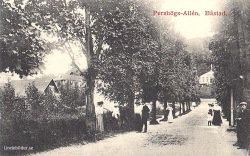Pershögs-Allen. Båstad 1913 Pershögs-Allen. Båstad 1913
