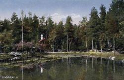 Motiv från Stadsparken 1928, Dalarna