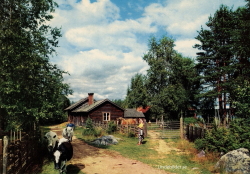 Åre Fäboliv 1967 Åre Fäboliv 1967