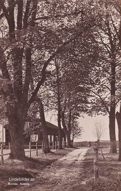 Älvnäs, Avesta 1964 Älvnäs, Avesta 1964