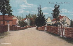 Horndal. Gatuparti, Villahed 1915 Horndal. Gatuparti, Villahed 1915
