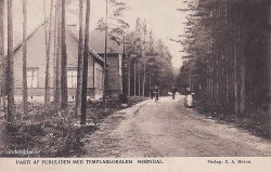Parti af Furukiden med Templarlokalen, Horndal 1908 Parti af Furukiden med Templarlokalen, Horndal 1908