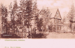 Strandvillorna, Horndal 1904 Strandvillorna, Horndal 1904