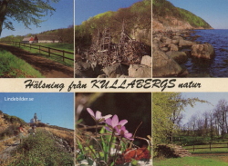 Hälsning från Kullabergs natur