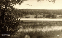 STÄLLDALEN Råstock