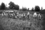 Örebro, Ormesta Gård Skördearbete 1901 Örebro, Ormesta Gård Skördearbete 1901