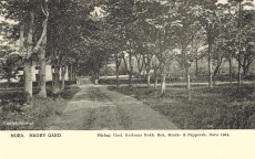 Nora. Hagby Gård 1904 Nora. Hagby Gård 1904