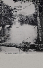 Nora, Från gamla Hagbydammen 1902 Nora, Från gamla Hagbydammen 1902