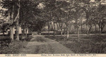 Nora Hagbygård 1905