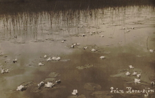 Från Norasjön 1919 Från Norasjön 1919