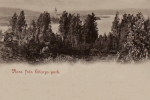 Nora, Från Hitorps Park 1901 Nora, Från Hitorps Park 1901