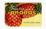 Örebro Bryggeri, Wasa Fructus Ananas Örebro Bryggeri, Wasa Fructus Ananas