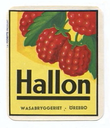 Örebro, Wasabryggeriet, Hallon