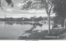 Parti av Lindesberg 1909