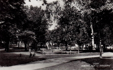 Arboga, Parti av Stadsparken 1949