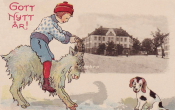 Örebro, Gott Nytt år 1920 Örebro, Gott Nytt år 1920
