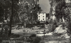 Karlskoga Parti av Ekmansdalen 1955