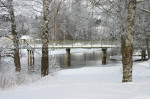 Gröna bron Gröna bron