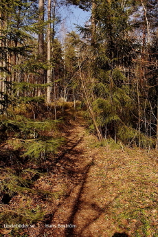 Kyrkberget