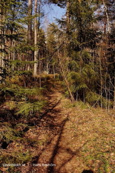 Kyrkberget