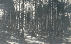 Lindesberg Kyrkberget Lindesberg Kyrkberget