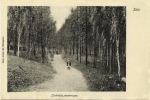 Sala Lärkträdsplanteringen 1910 Sala Lärkträdsplanteringen 1910