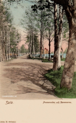 Sala. Promenaden och Dammarne 1906 Sala. Promenaden och Dammarne 1906
