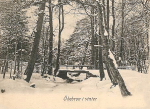 Sala. Ökebron i Vinter Sala. Ökebron i Vinter