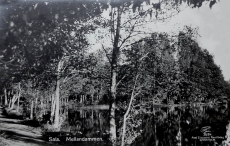 Sala Mellandammen Sala Mellandammen