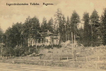 Fagersta, Ingeniörsbostaden, Tallebo 1908 Fagersta, Ingeniörsbostaden, Tallebo 1908