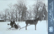 Eskilstuna, Ateljefoto, Hästsläde med ett par Eskilstuna, Ateljefoto, Hästsläde med ett par