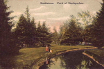 Eskilstuna, Parti af Stadsparken 1912 Eskilstuna, Parti af Stadsparken 1912