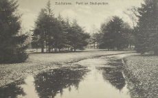 Eskilstuna, Parti av Stadsparken Eskilstuna, Parti av Stadsparken