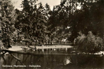 Eskilstuna, Fågeldammen i Stadsparken Eskilstuna, Fågeldammen i Stadsparken