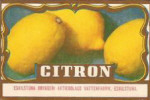 Eskilstuna Bryggeri AB, Citron Eskilstuna Bryggeri AB, Citron