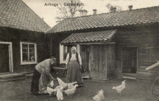 Arboga Gårdsidyll 1911 Arboga Gårdsidyll 1911