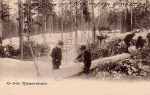 Lindesberg, Vy från Timmerskogen Virkesmätning 1903