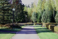 Södra Kyrkogården