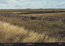 Öland Stora Alvaret