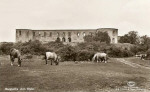 Öland, Borgholm Slottsruin Öland, Borgholm Slottsruin
