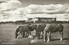 Öland, Borgholm Slottsruin 1952 Öland, Borgholm Slottsruin 1952