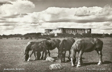 Öland, Borgholm Slottsruin 1952