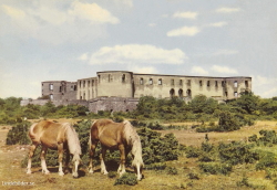 Öland Slottsruinen Öland Slottsruinen