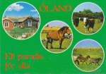 Öland, Ett paradis för alla Vykort Öland, Ett paradis för alla Vykort