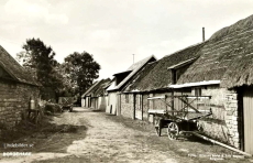 Öland, Borgehage  1949