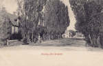 Öland, Helsning från Borgholm 1903 Öland, Helsning från Borgholm 1903